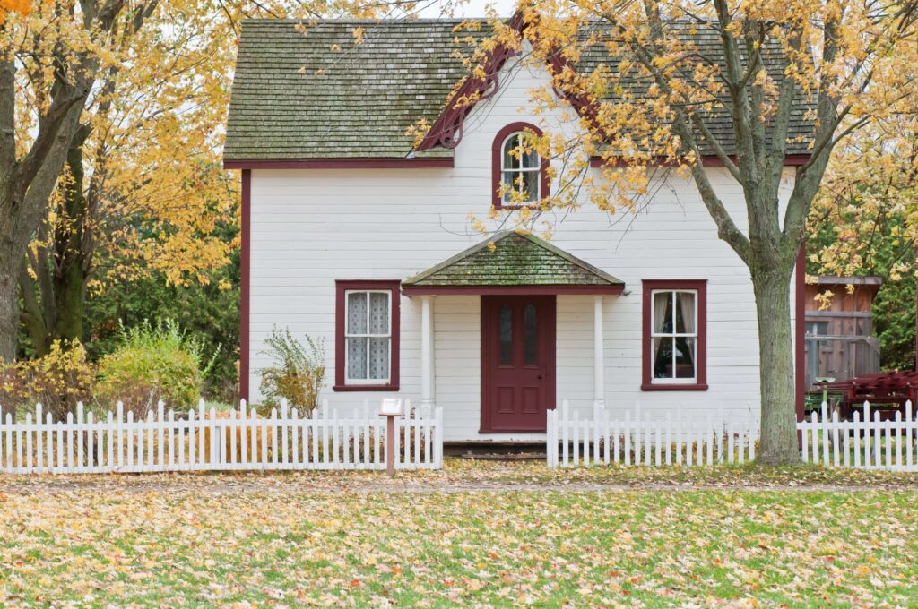 Yard Waste Cleanup